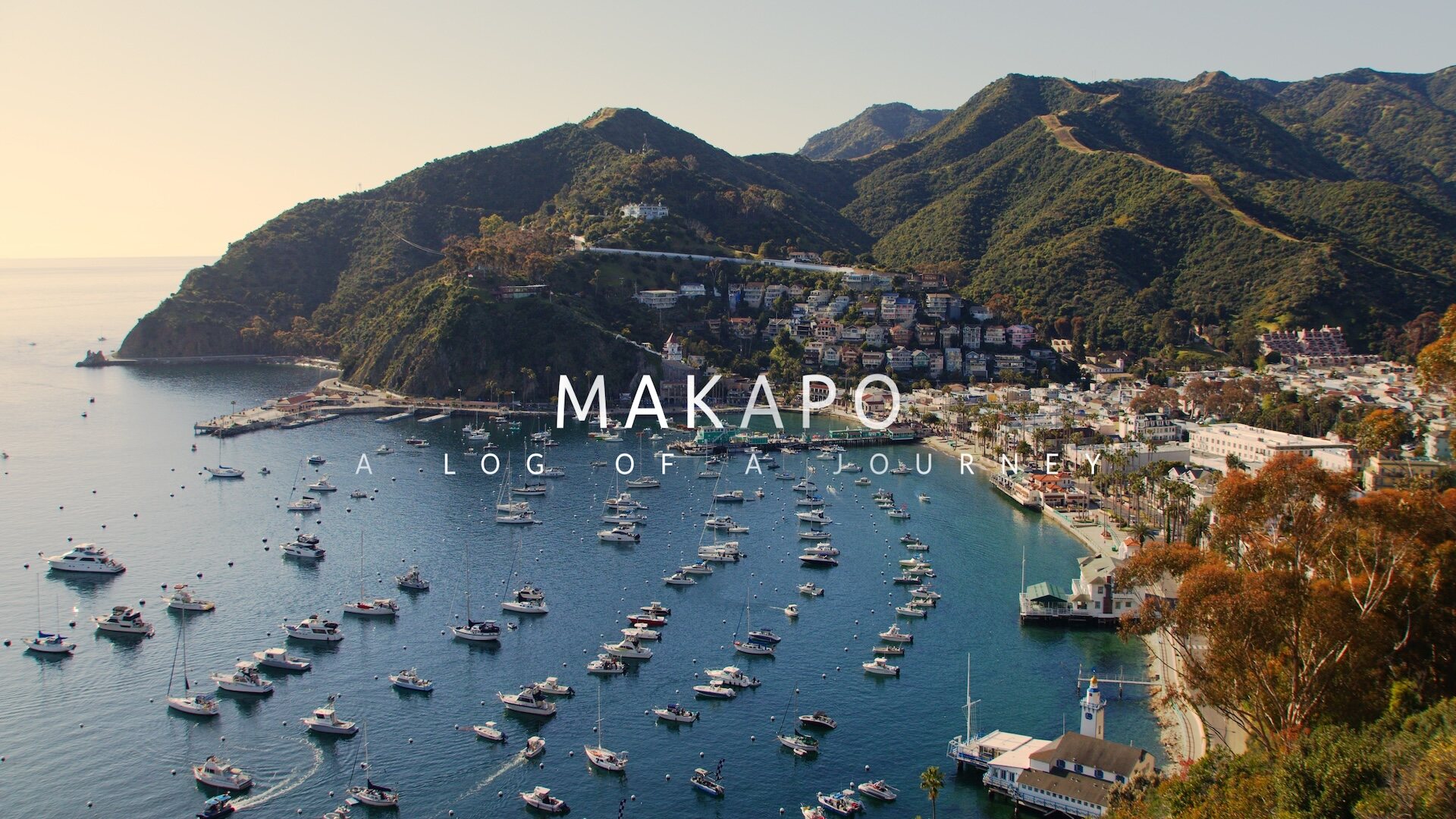 Still 11 from Makapo Aquatics